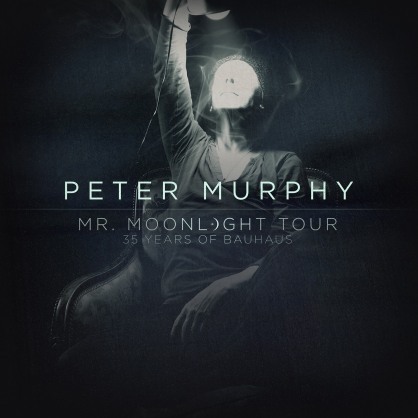 Peter Murphy Mr Moonlight live DVD